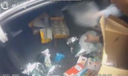 毒贩被抓爆料视频播放下载,揭秘警方抓捕全过程，网友热议下载观看